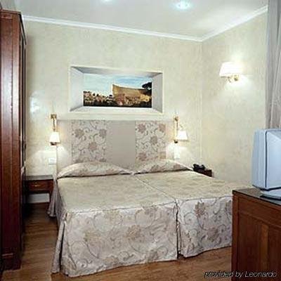 Camelia - Italy - Rome