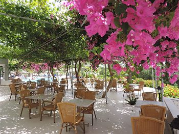 Corfu - Cyprus - Ayia Napa