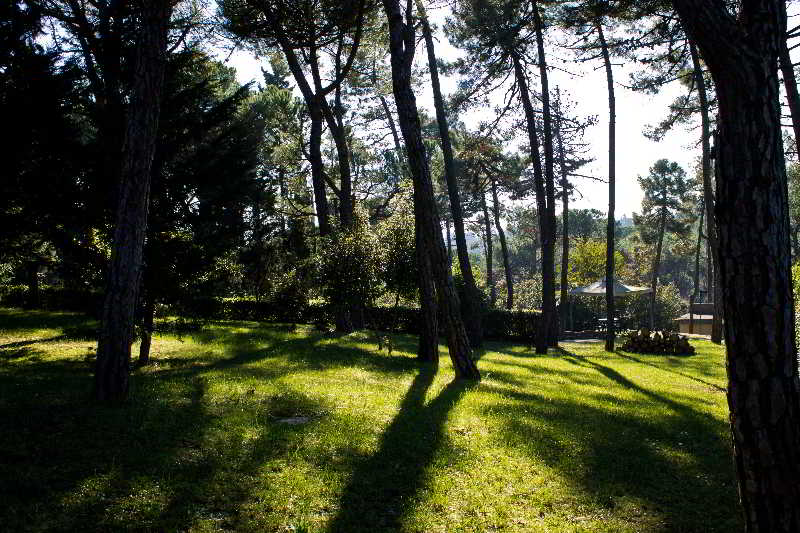 Villa Cesi - Italy - Florence