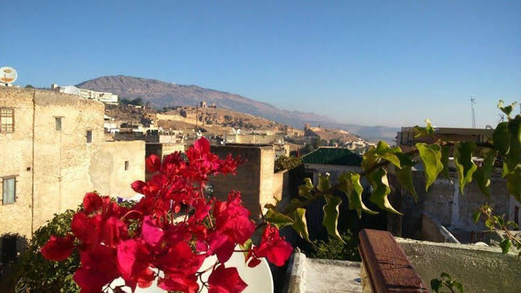 Dar Warda - Morocco - Fez