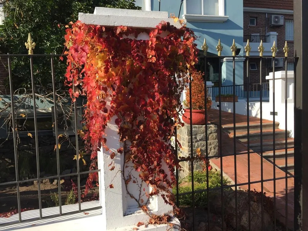 Regency Carrasco - Suites & Boutique Hotel - Uruguay - Montevideo