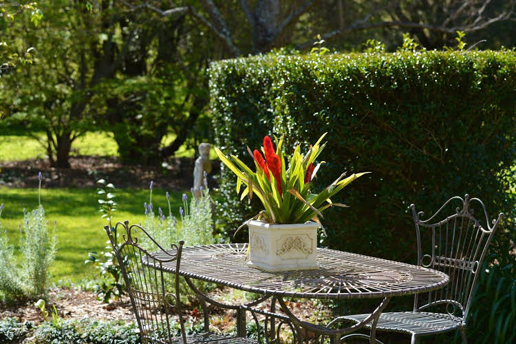 ARCADIA - The Barn Cottage & Rosehill Cottage - Australia - Sydney