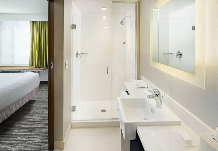 Springhill Suites by Marriott Carle Place Garden City - United States - New York