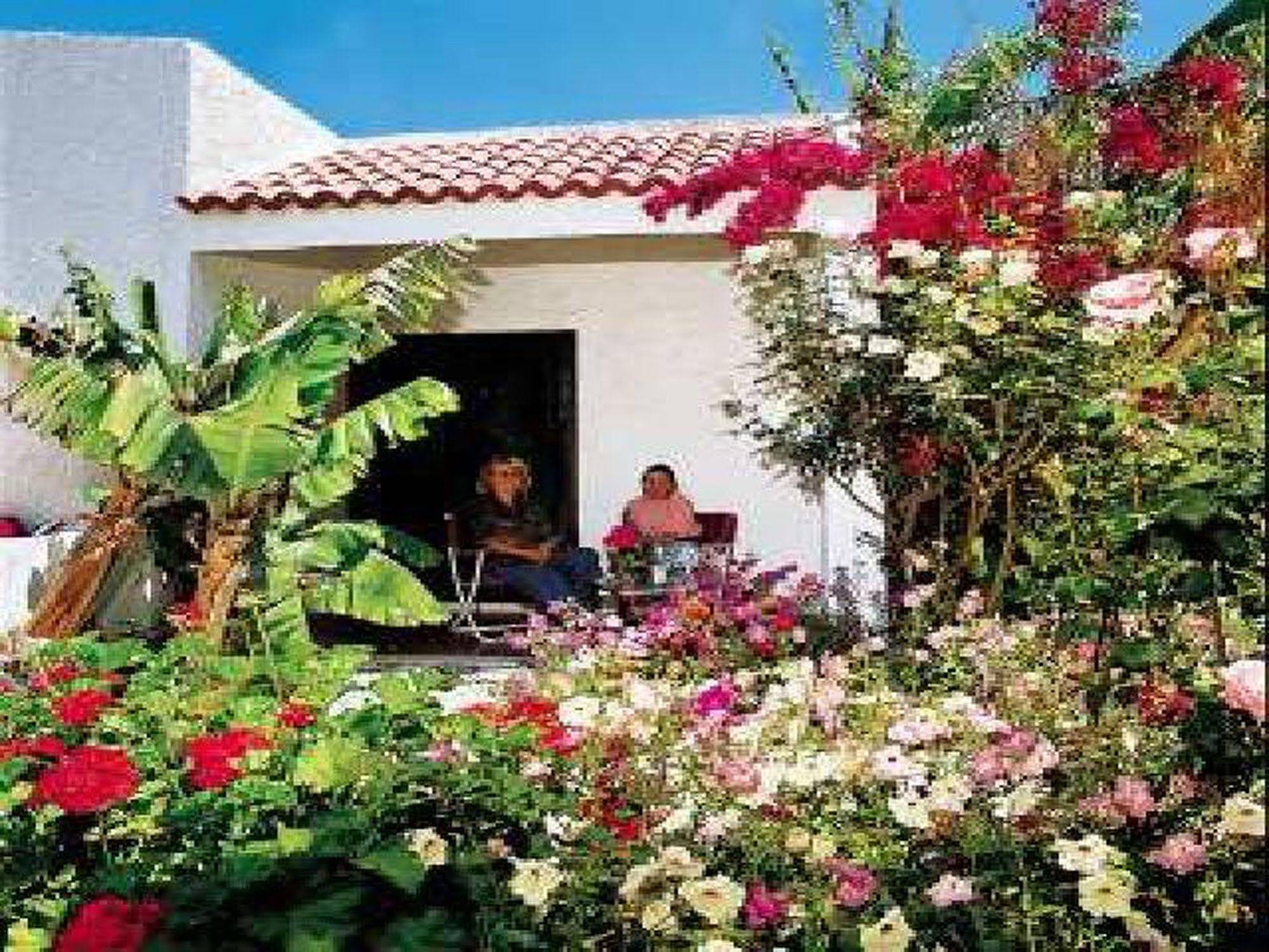 Oasis Hotel & Bungalows Rodhes - Greece - Rhodes
