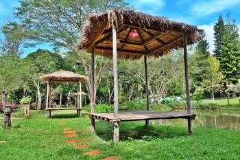 Phuingfah - Thailand - Chiang Mai