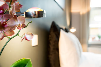 X2Brussels Bed and Breakfast - Belgium - Brussels