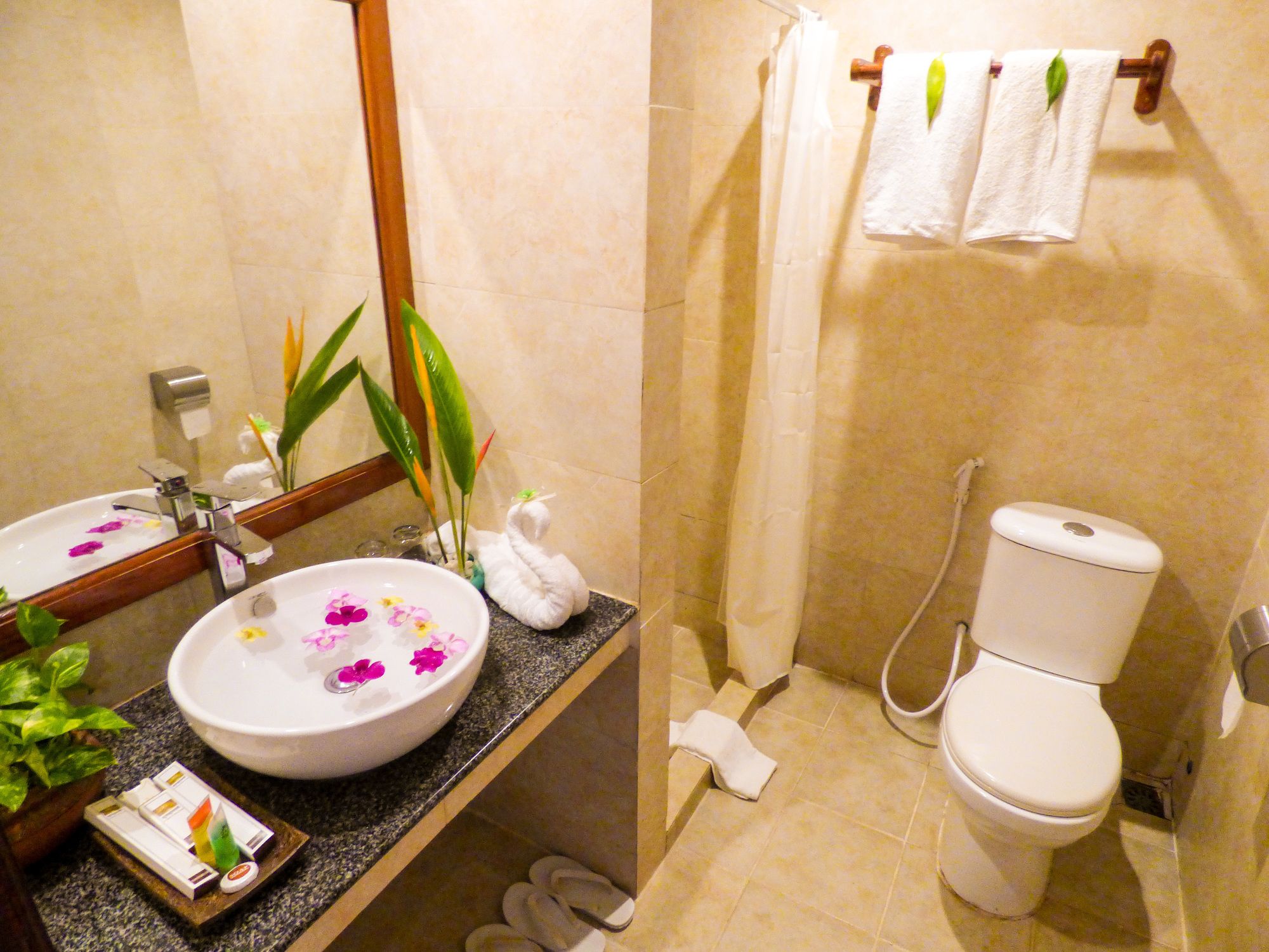 AMIRAL - Cambodia - Siem Reap