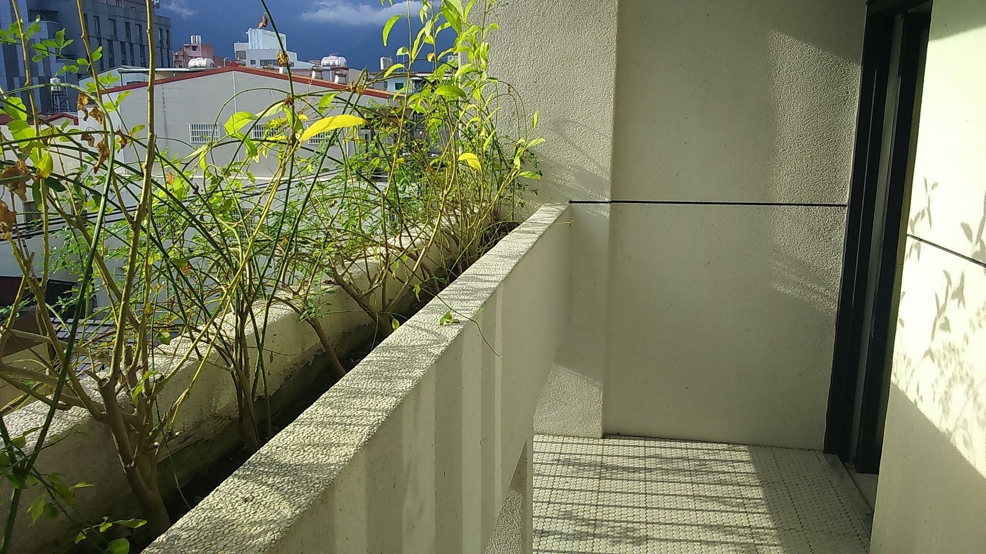 A''MO B&B - Taiwan - Hualien