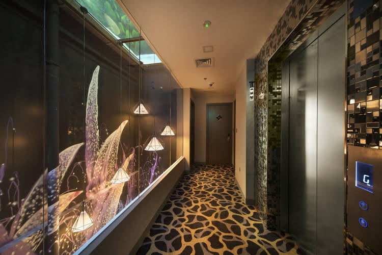 CLOVER 7 - Singapore - Singapore