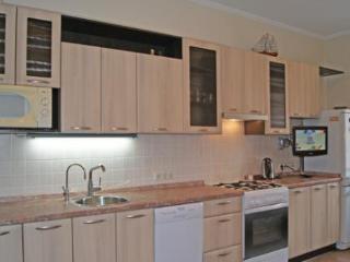 STN APARTMENTS ON  VOSSTANIYA - Russian Federation - St. Petersburg