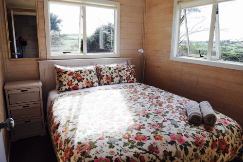 Gorgeous Cabin - New Zealand - Auckland