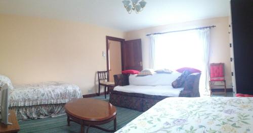 White Hill Country House B&B - Ireland - Dublin
