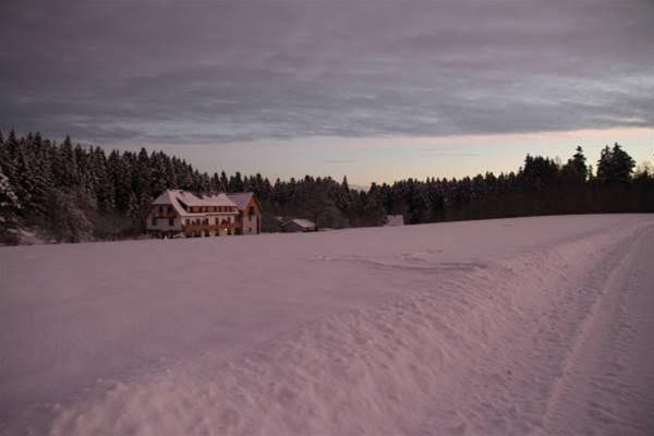 Landhaus Karin - Germany - Black Forest