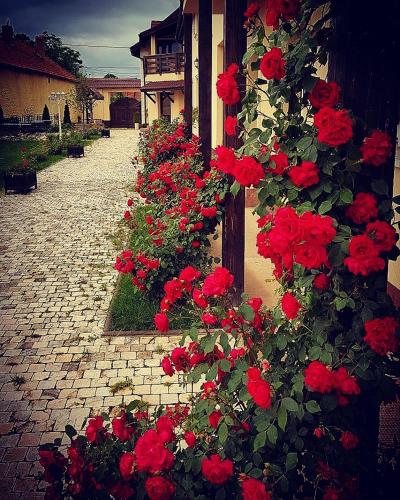 Pensiunea Casa Moga - Romania - Brasov