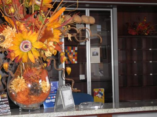 Hotel Arli - Slovakia - Bratislava