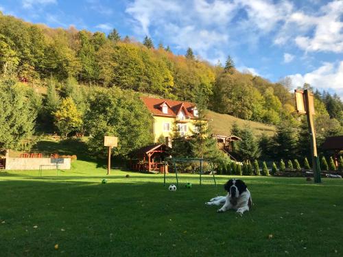 H?tvez?r Panzi? - Romania - Brasov