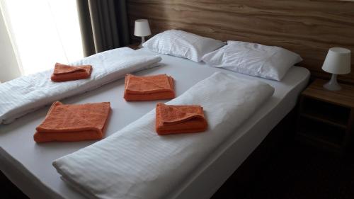 Aviator Garni Hotel Bratislava - Slovakia - Bratislava