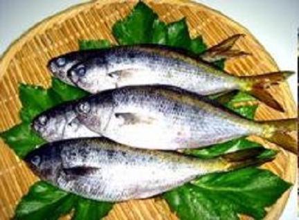 Blanc Bleu Nagomi - Japan - Tokyo