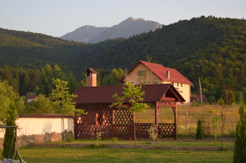 Pensiunea Mountain King - Romania - Brasov