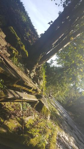 Guesthouse S - Slovenia - Ljubljana