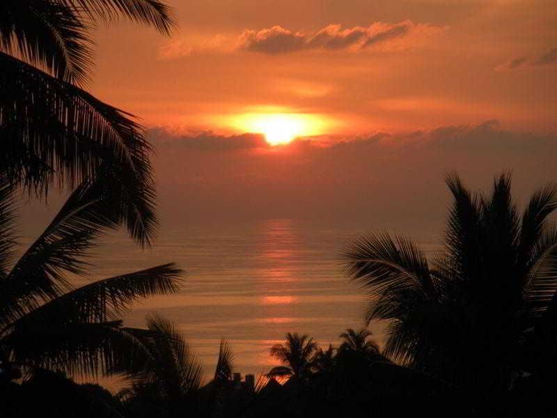 Monkey Flower Villa - Thailand - Koh Samui