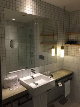 Fox - Denmark - Copenhagen