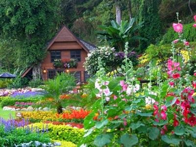 Krisdadoi Chiangmai Aprime Resort - Thailand - Chiang Mai