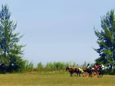 Estancia Don Silvano - Argentina - Buenos Aires