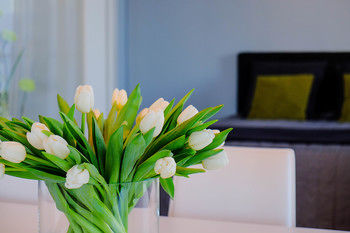 APARTMENT HOTEL AALLONKOTI - Finland - Helsinki