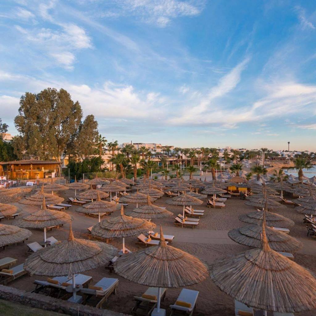 Queen Sharm Beach Resort-All Inclusive - Egypt - Sharm El Sheikh