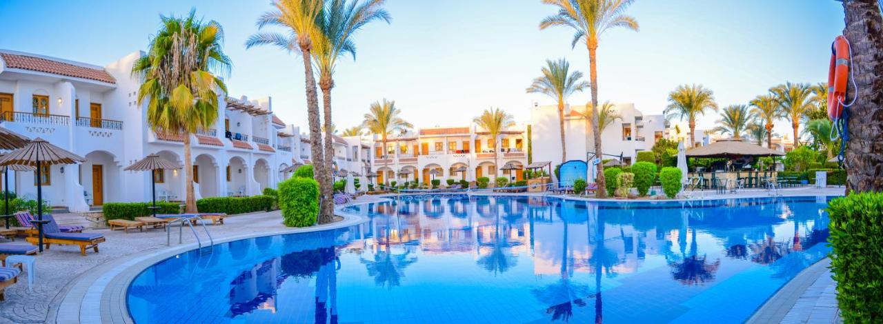 Dive Inn Resort - Egypt - Sharm El Sheikh