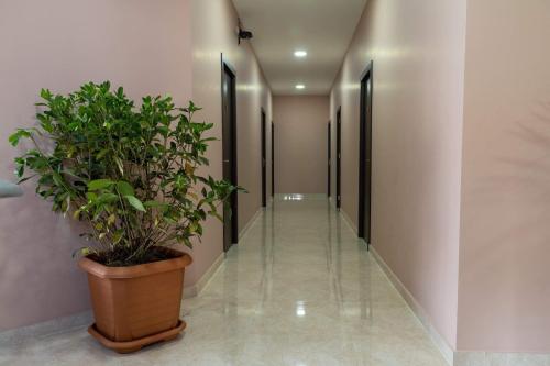 New Hotel Lucky - Georgia - Tbilisi
