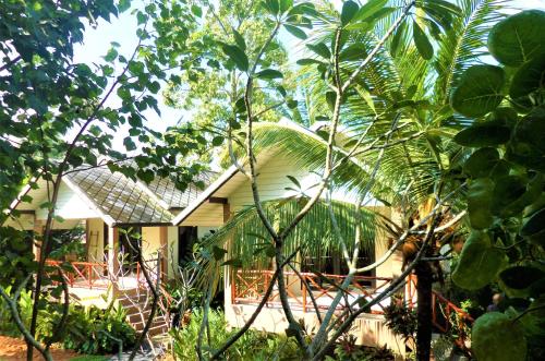 tropical heaven's garden - Thailand - Koh Samui