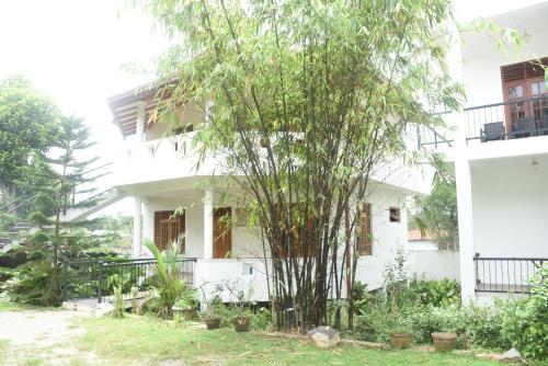 Green Villa - Sri Lanka - Tangalle