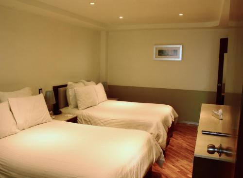 Grand Chapultepec Residencial - Mexico - Mexico City