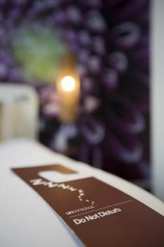 Conscious Vondelpark - Netherlands - Amsterdam