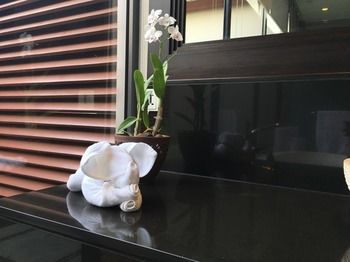 Anantara Mai Khao Phuket Villas - Thailand - Phuket