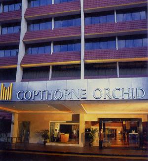 Copthorne Orchid