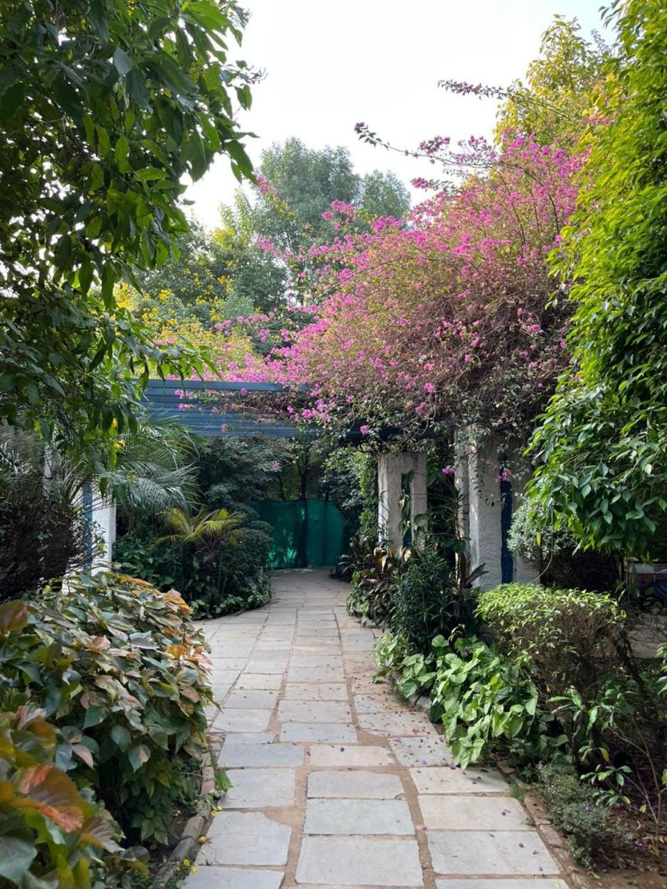 BOTANIX NATURE RESORT - India - New Delhi