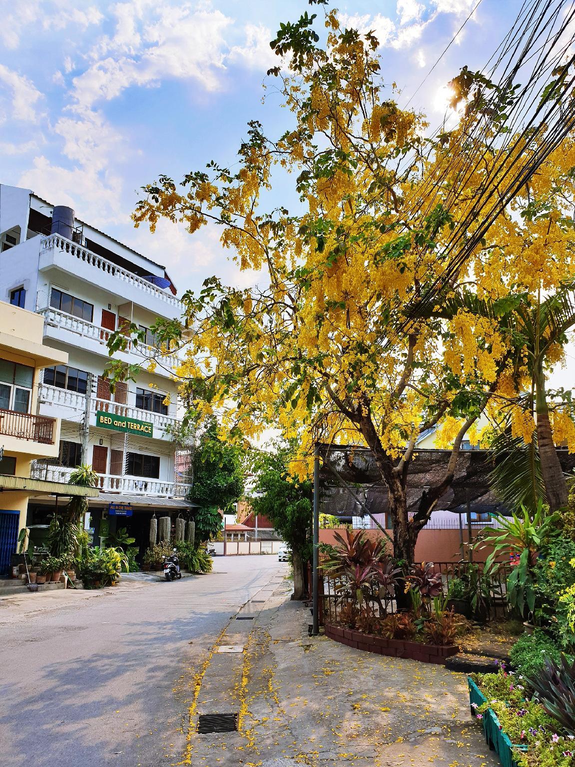 Bed and Terrace Guesthouse Chiang Mai - Thailand - Chiang Mai
