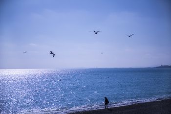 LE ROYAL - France - Nice