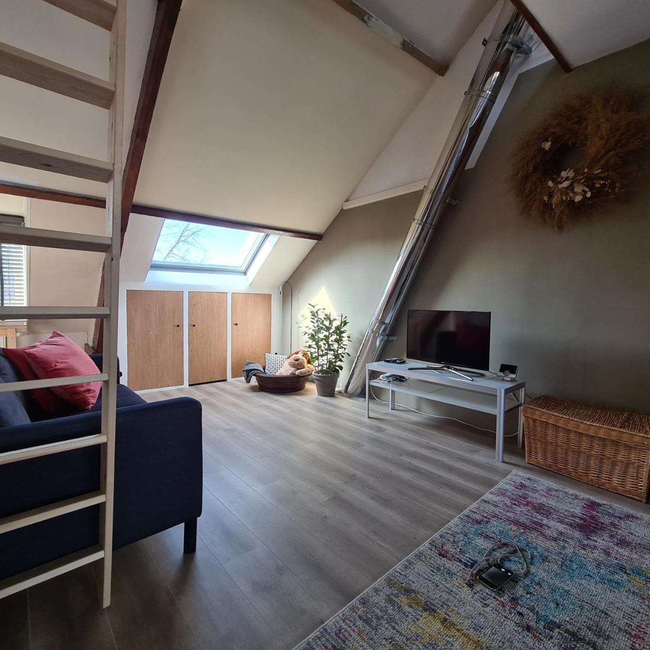 Park43 - Netherlands - Haarlem