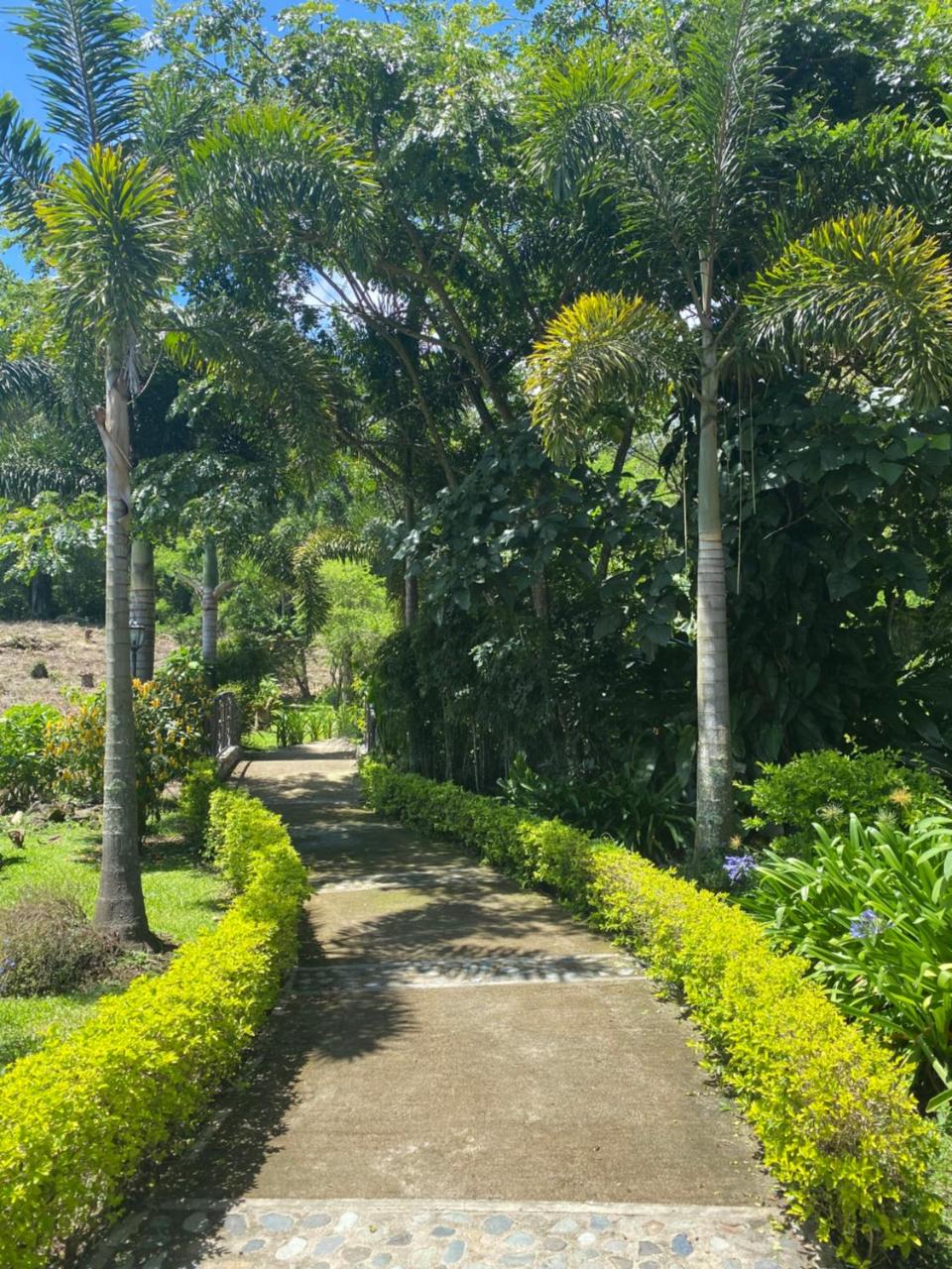 Hotel Boutique La Casona del Cafetal - Costa Rica - San Jose