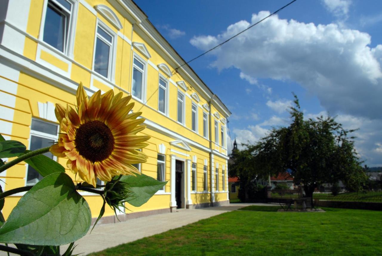 Old School Villa - Slovenia - Ljubljana