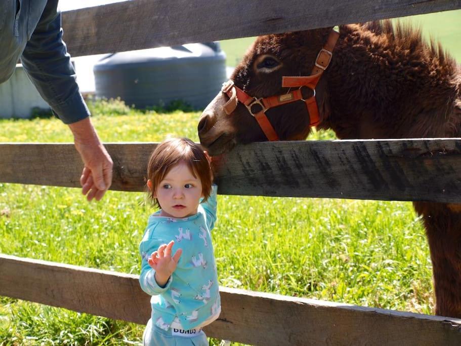 Manderley Park Farmstay B&B - Australia - Melbourne