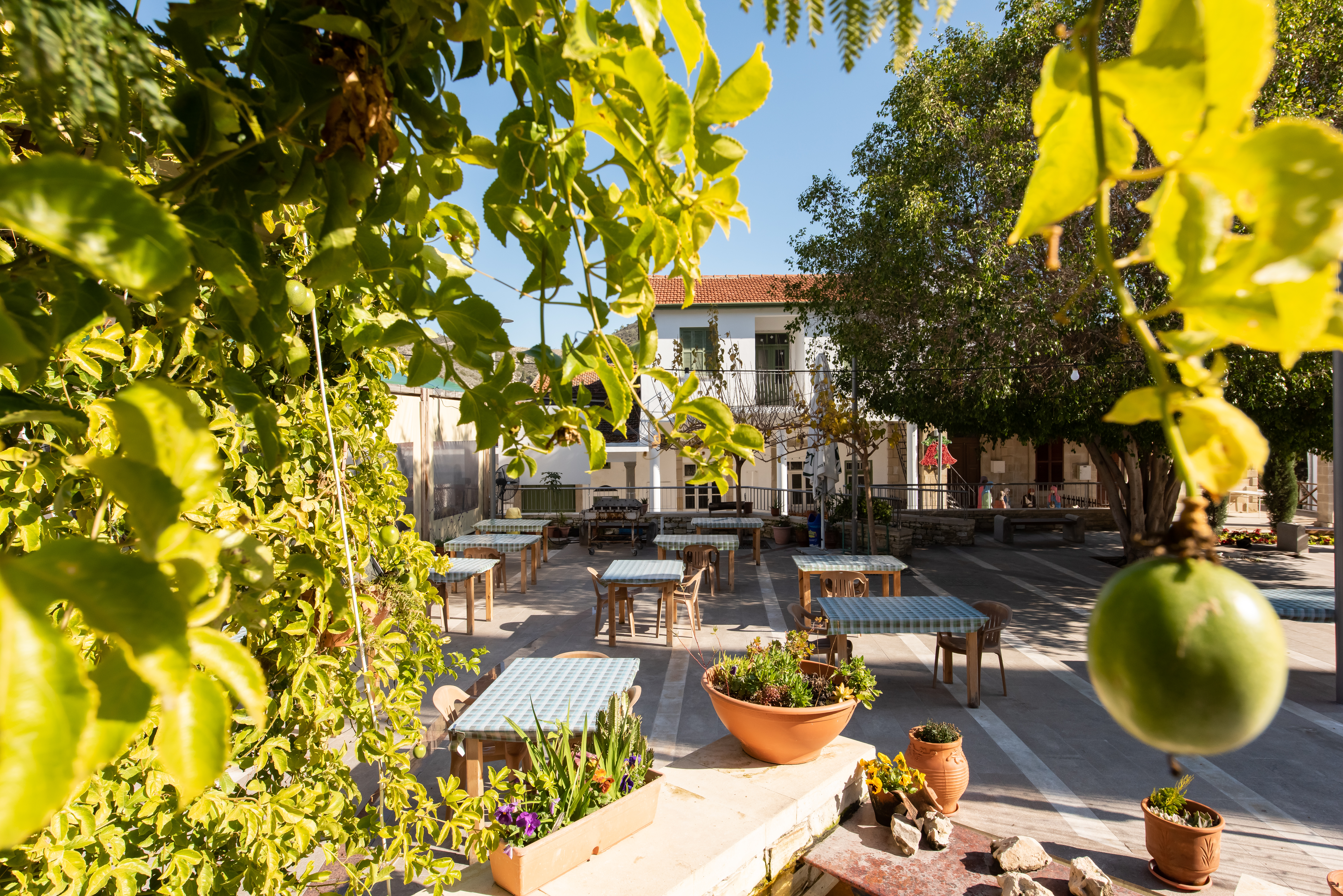 Cyprus Villages - Cyprus - Larnaca