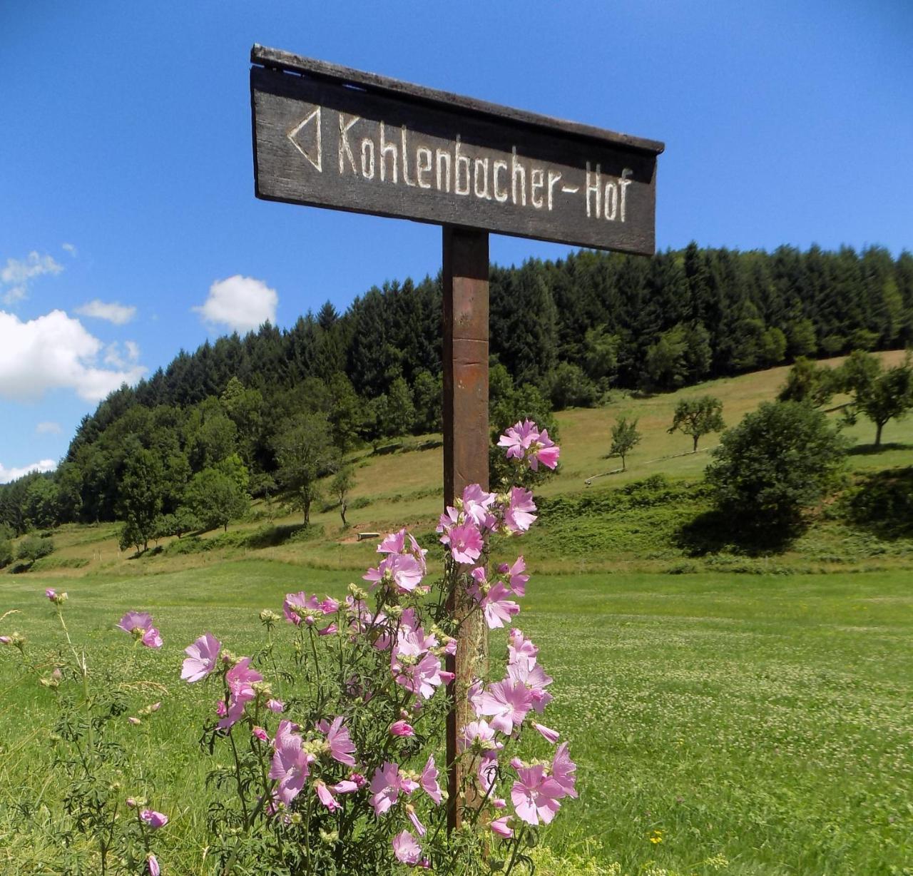 Hotel-Restaurant Kohlenbacher-Hof - Germany - Black Forest