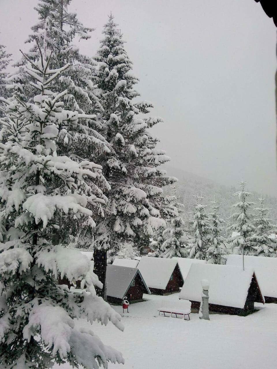 Complex Cabana Ciucas - Romania - Brasov