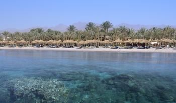 Hilton Sharm Dreams Resort - Egypt - Sharm El Sheikh