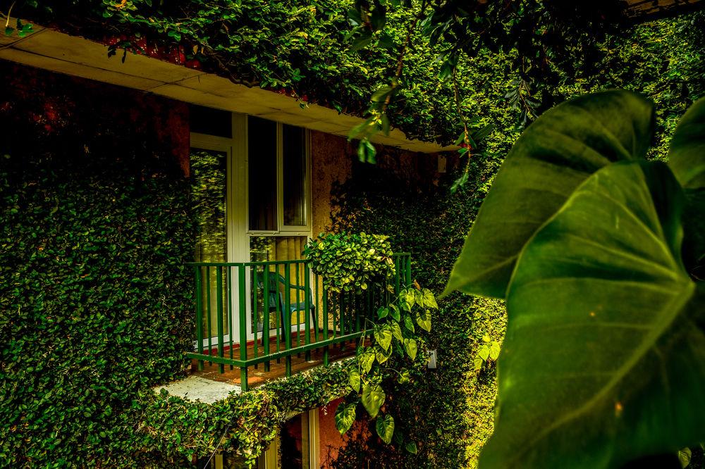 Novo Apart-Hotel - El Salvador - San Salvador